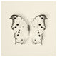 "Butterfly IV - BW" Digital Paper Print by Debra Van Swearingen, 38"x38"