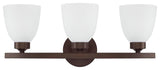 HomePlace Lighting Jameson 3-Light Vanity 114331BZ-333