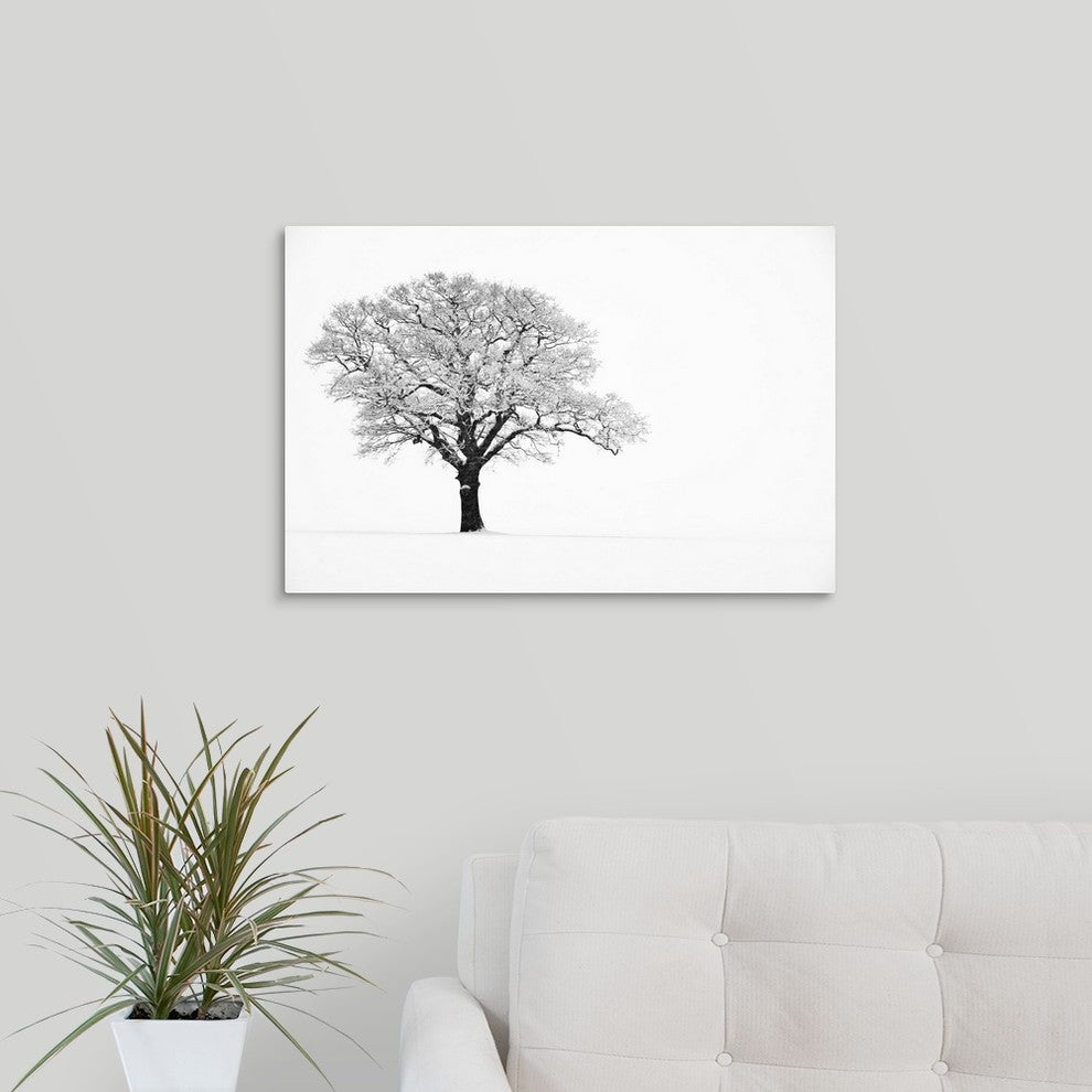 "Waiting for Spring" Wrapped Canvas Art Print, 24"x16"x1.5"