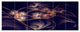 Dark Gold Fractal Flower Pattern, Abstract Canvas Art Print, 70"x28", 6 Panels