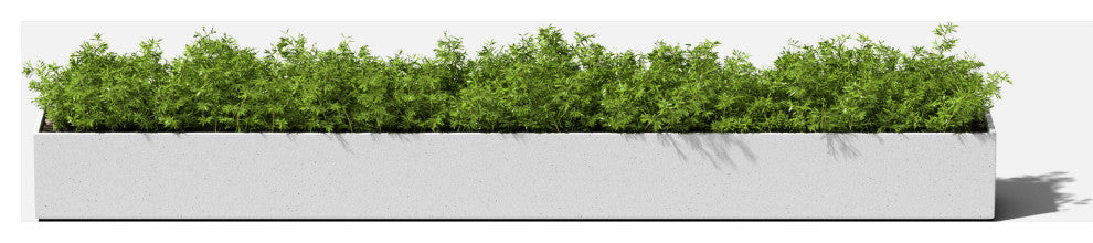GEO Series Plastic Planter, White, Trough, 1 Pack
