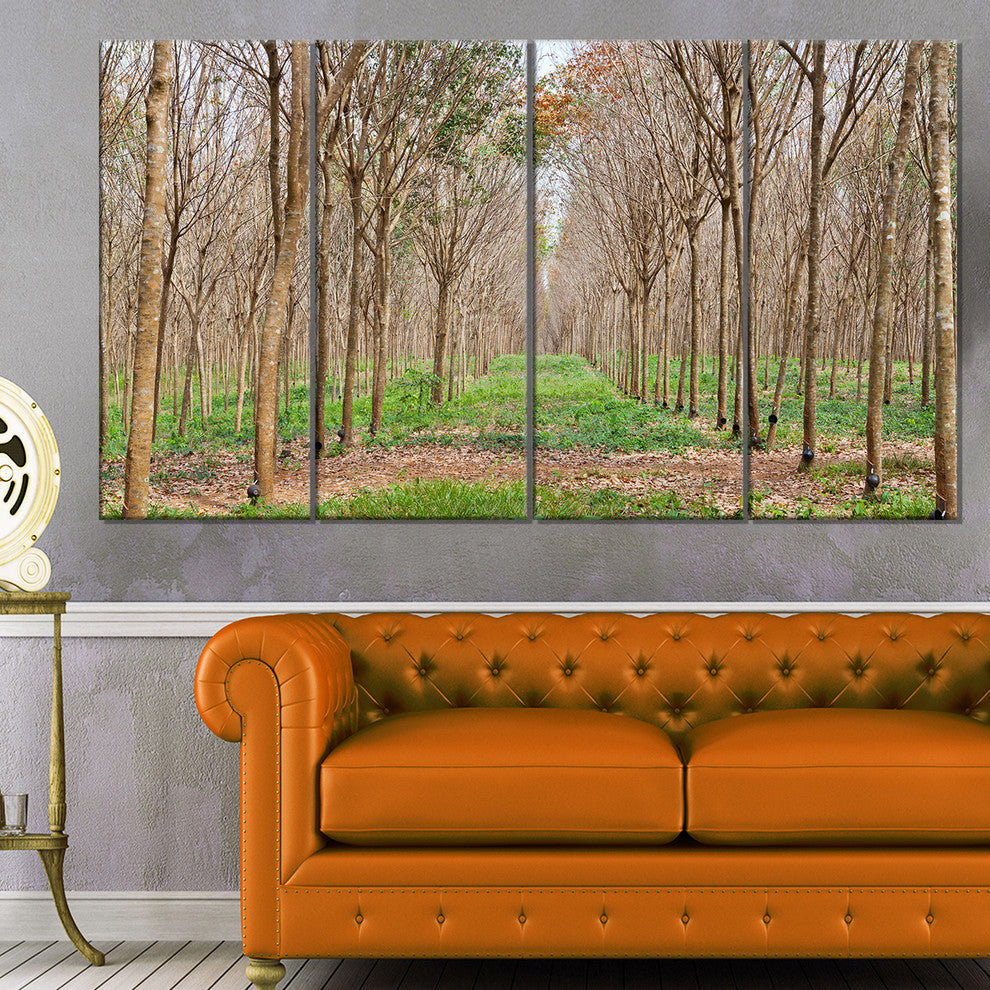 Beautiful Rubber Plantation Photo, Modern Forest Canvas Art, 48"x28", 4 Panels