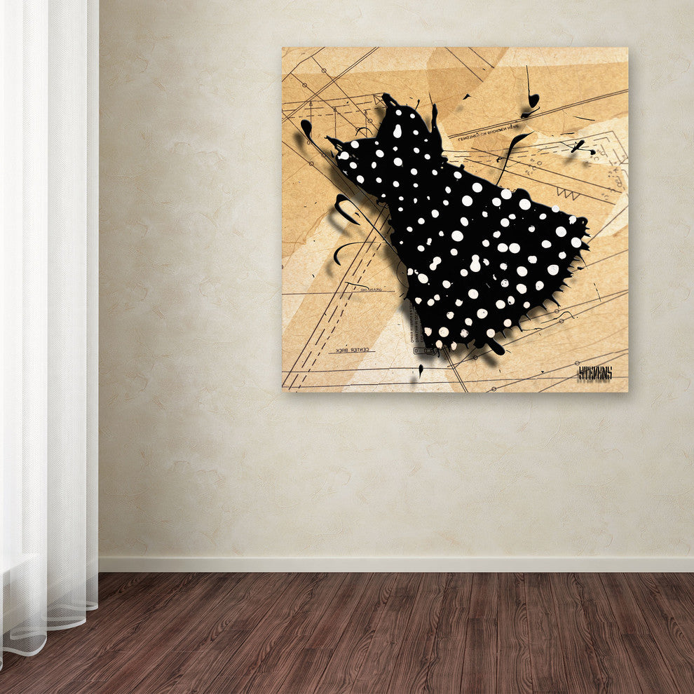 'White on Black' Canvas Art by Roderick Stevens
