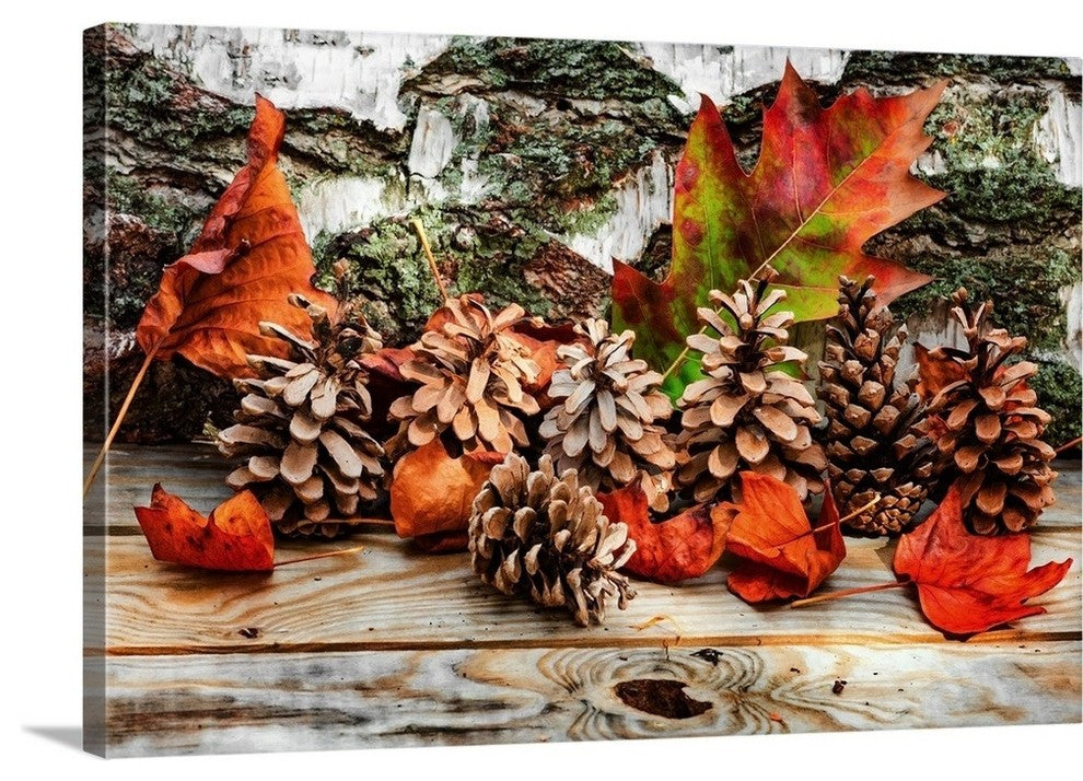 "Pine Cones for Fall" Wrapped Canvas Art Print, 48"x32"x1.5"