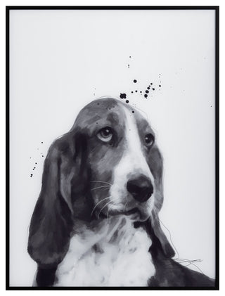 "BasSet Hound" Black & White Pet Paintings on Printed Glass With Anodized Frame