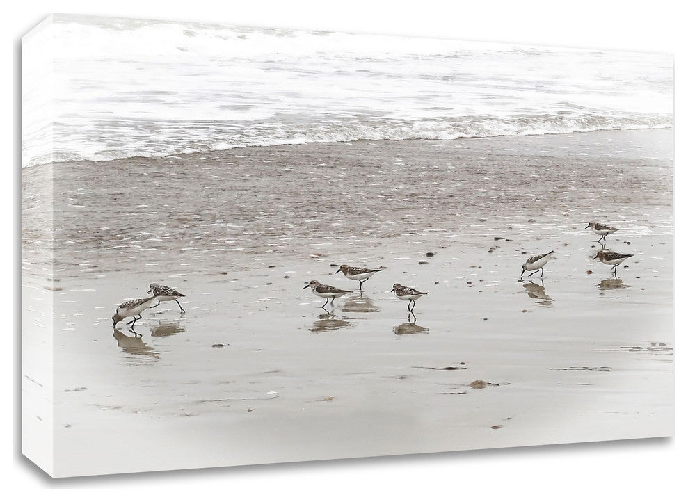 Sandpipers by Brooke T. Ryan, Print on Canvas, 30"x24"