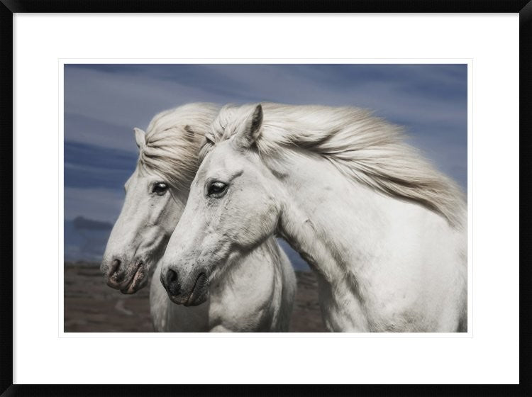 "Blowing" Framed Digital Print by Bragi Ingibergsson, 32x24"