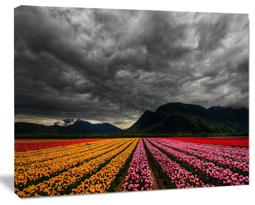 Parallel Rows of Colorful Tulips, Large Landscape Canvas Art, 20"x12"
