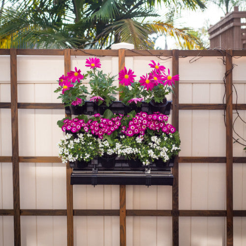 Watex Picture Garden Starter Kit