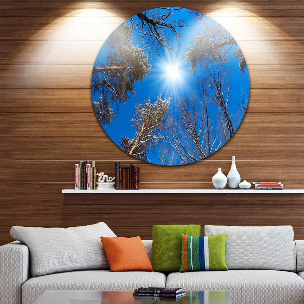 Bright Sun In The Tree Top Circle, Forest Disc Metal Artwork, 11"