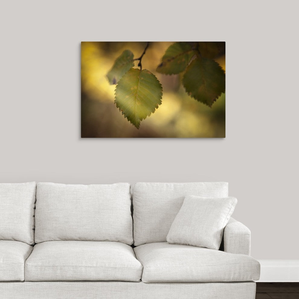 "Quiet Leaves" Wrapped Canvas Art Print, 36"x24"x1.5"
