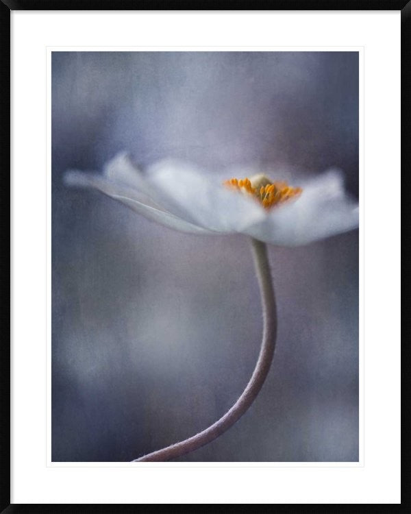 "The Beauty Within" Framed Digital Print by Priska Wettstein, 30x38"
