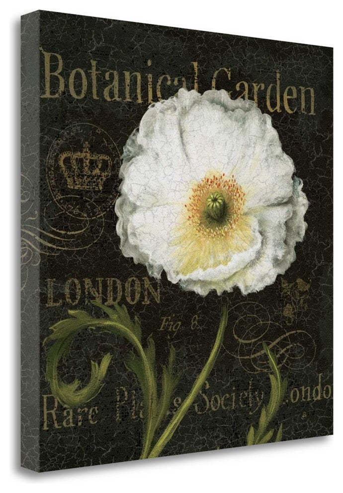 "Botanical Garden II" By Daphne Brissonnet, Giclee Print on Gallery Wrap Canvas