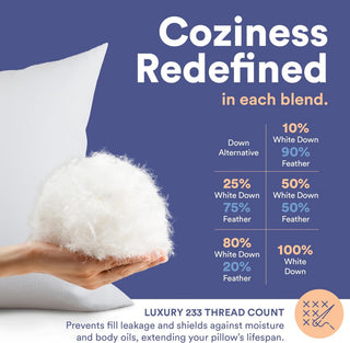 Decorative Throw Pillow Insert - Fluffy Euro Cushion Insert for bed or Couch, White, 20x20 Inch - 2 Pack, Microfiber