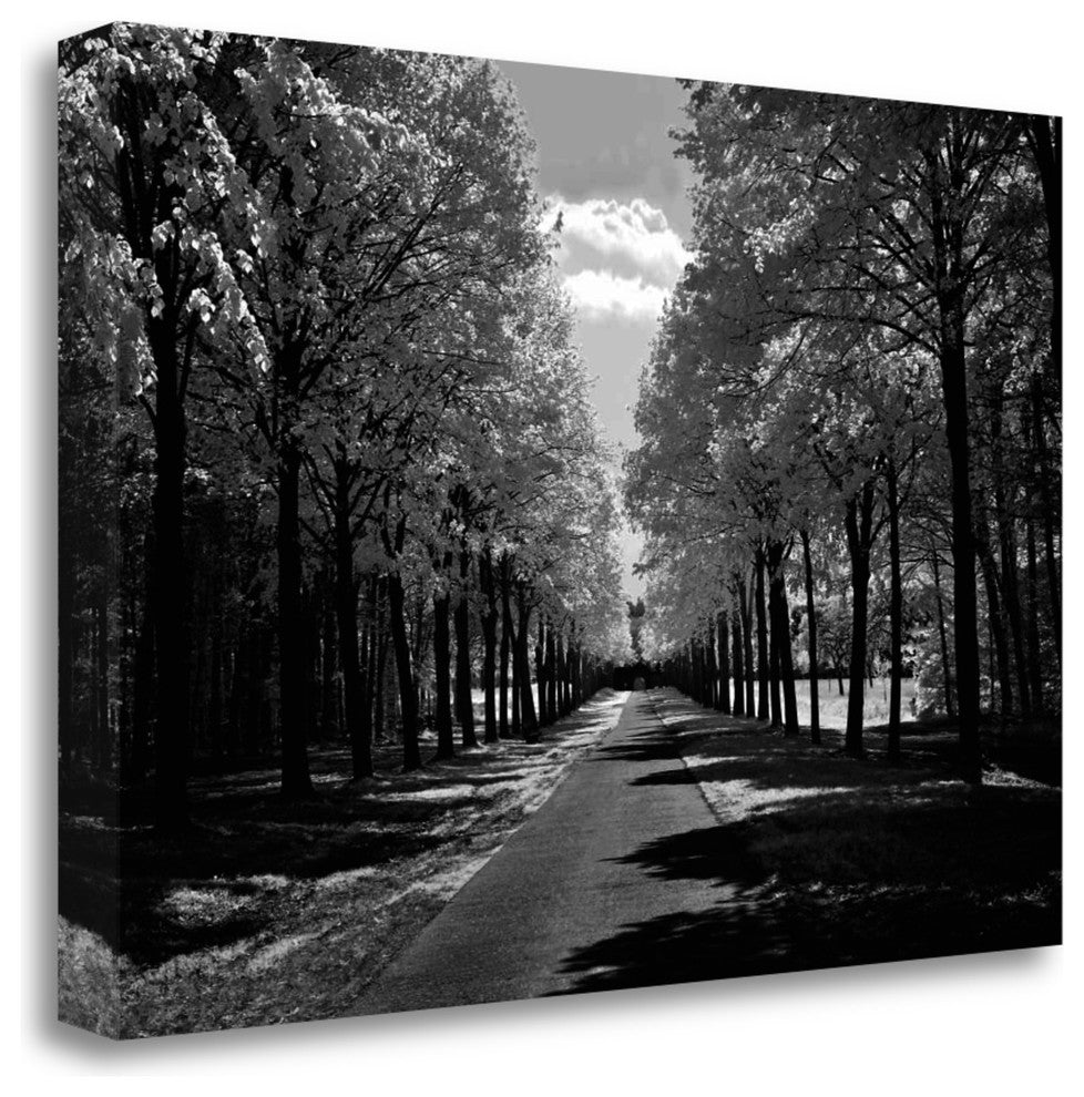 "Sublime" By Ily Szilagyi, Giclee Print on Gallery Wrap Canvas, Ready to Hang
