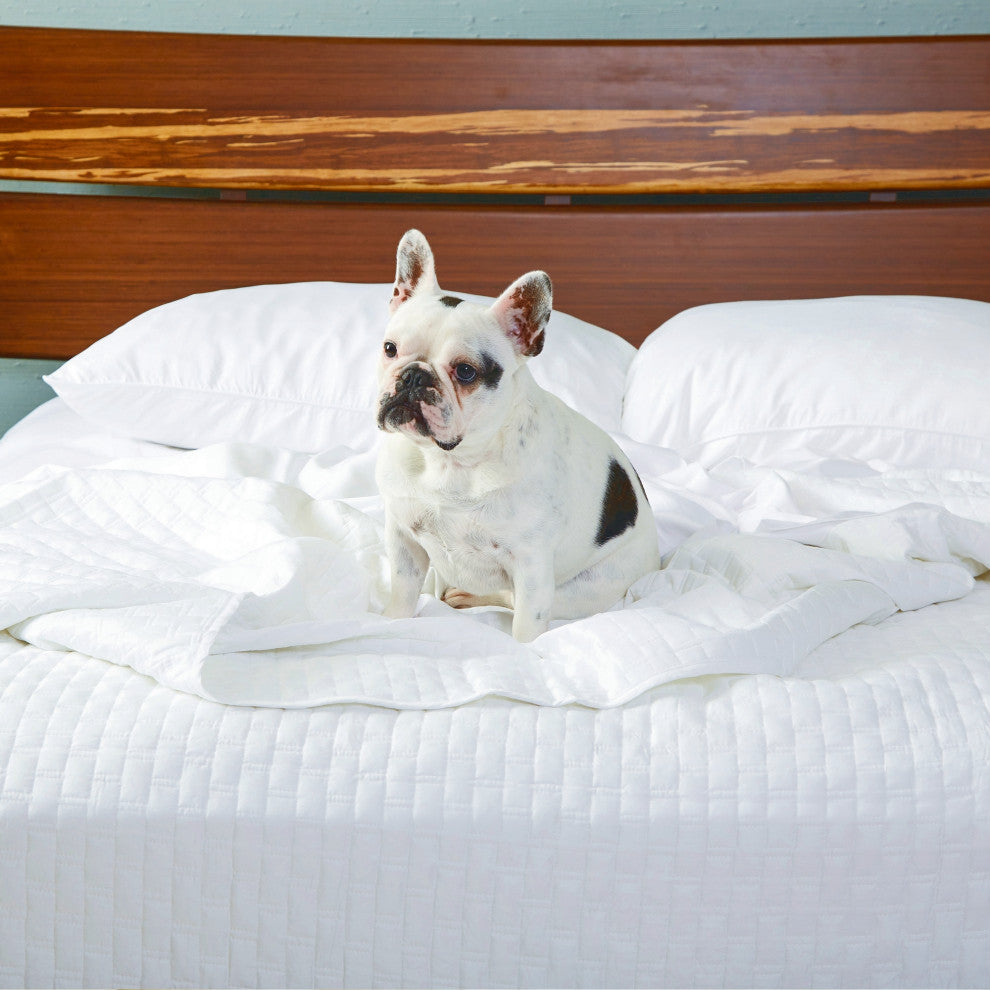 BedVoyage Luxury 100% Rayon Viscose Bamboo Quilted Coverlet