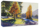 Autumn Light by Graham Gercken, Print on Canvas, 28"x22"