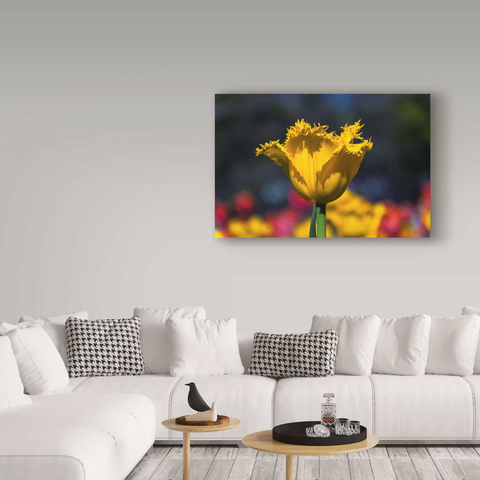 "Yellow Tulip With Soft Colors" by Anthony Paladino, Canvas Art