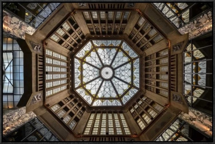 "Looking Up" Framed Canvas Giclee by Renate Reichert, 31x21"