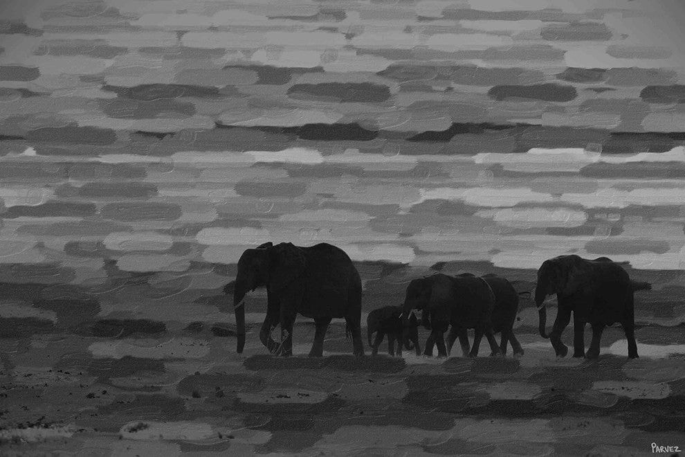 "Pachyderm Family" Print on Canvas, 36"x24"