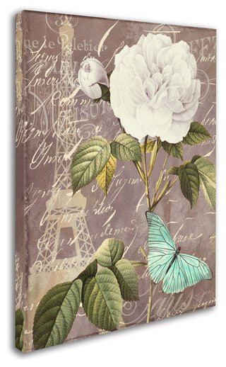 Color Bakery 'White Rose' Canvas Art, 24x32