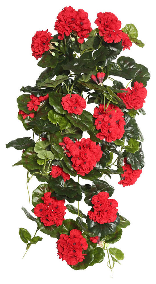29" Red Geranium Hanging Bush