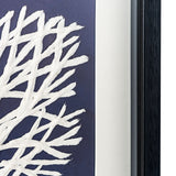 Sea Fan, Shadow Box, Sea Fan 2
