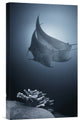 "Sonata" Stretched Canvas Giclee by Andrey Narchuk, 10x16"