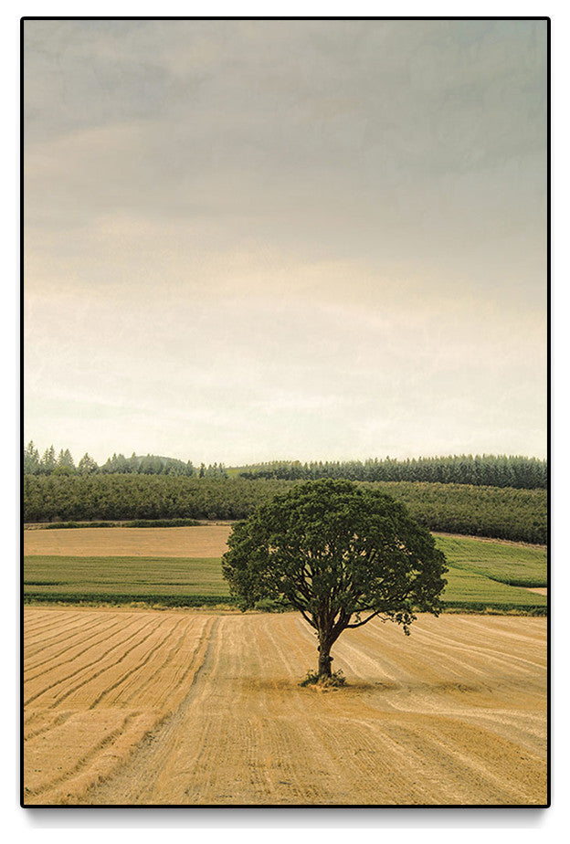 "Lone Tree in an Autumn Field" Oversized Framed Canvas, 60" x 40"