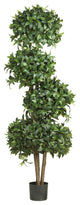 69" Sweet Bay Topiary, 4 Balls Silk Tree