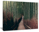 "Bamboo Grove in Arashiyama Panorama" Forest Wall Art, 40"x30"