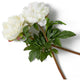 Artificial Blooms Bouquet, 48-Pieces, Eichholtz Peonies, White