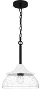 Quoizel OTN1512MBK 1-Light Mini Pendant, Otten