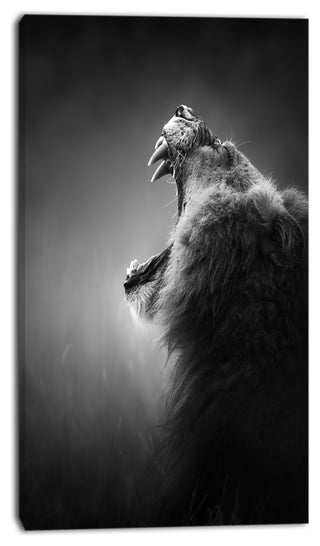 "Lion Displaying Teeth" Animal Canvas Print, 16"x32"