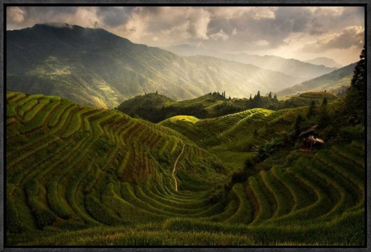 "A Tuscan Feel In China" Framed Canvas Giclee by Max Witjes, 23x16"