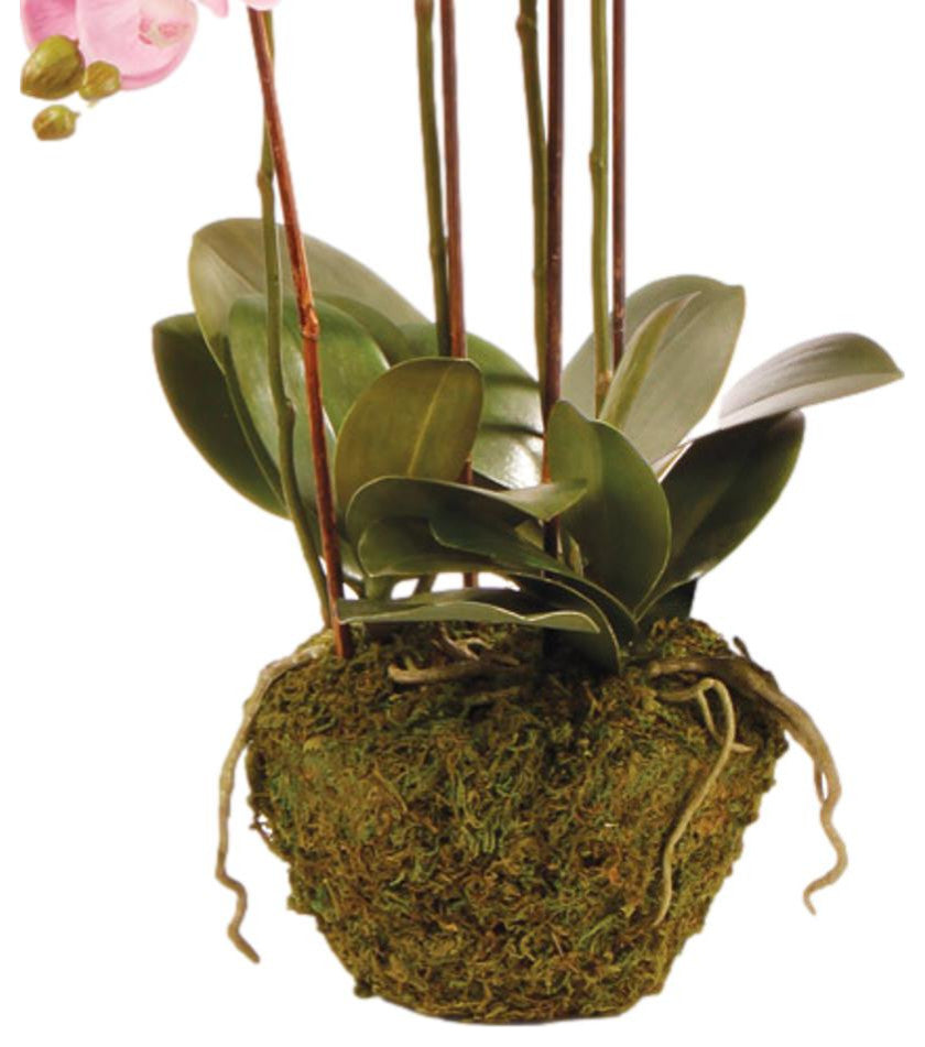 Luxe Pink Phalaenopsis Orchid Faux Floral Artificial Plant 30 in Drop In Flowers