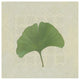 "Forest Leaves IV no Lines" Digital Paper Print by Kathrine Lovell, 20"x20"