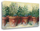 "Potted Herbs I" By Carol Rowan, Giclee Print on Gallery Wrap Canvas