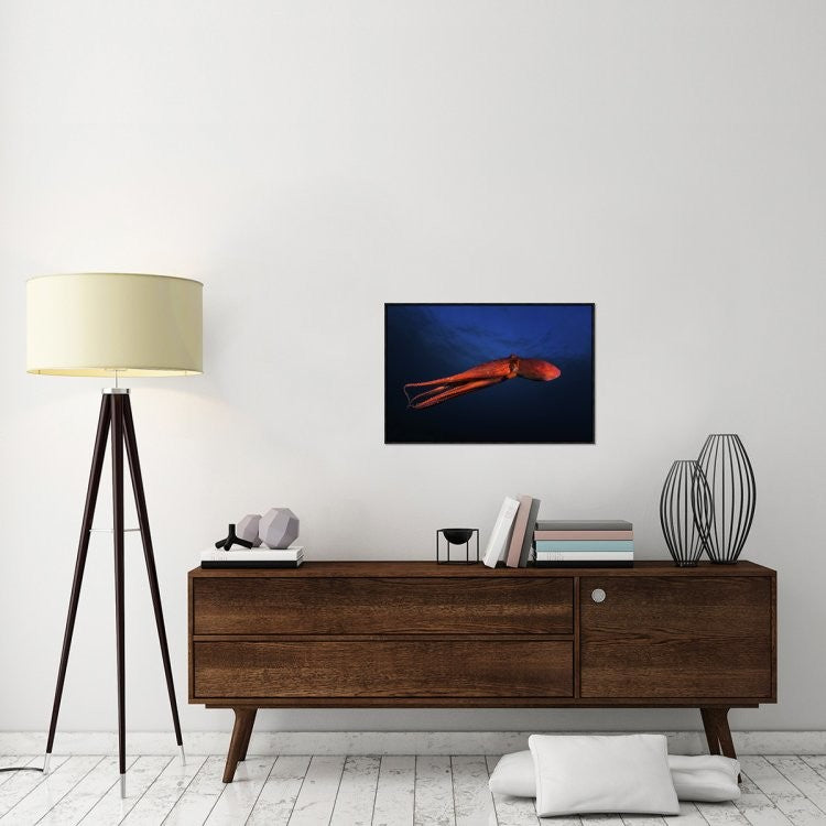 Red Octopus, 30"x20"