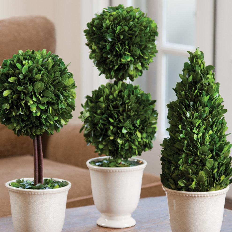Boxwood Double Ball Topiary With Beaded White Pot