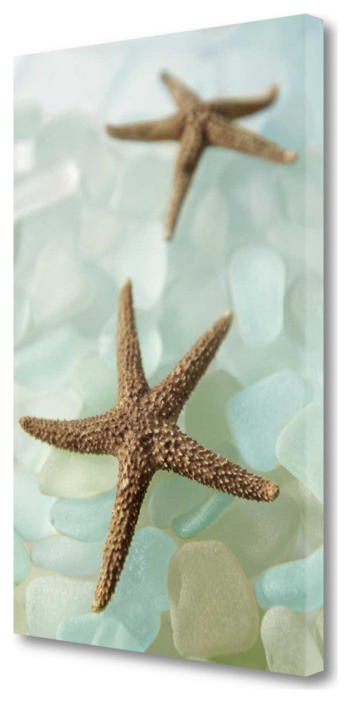 33" Two Brown Starfish and Blue Seaglass Giclee Wrap Canvas Wall Art