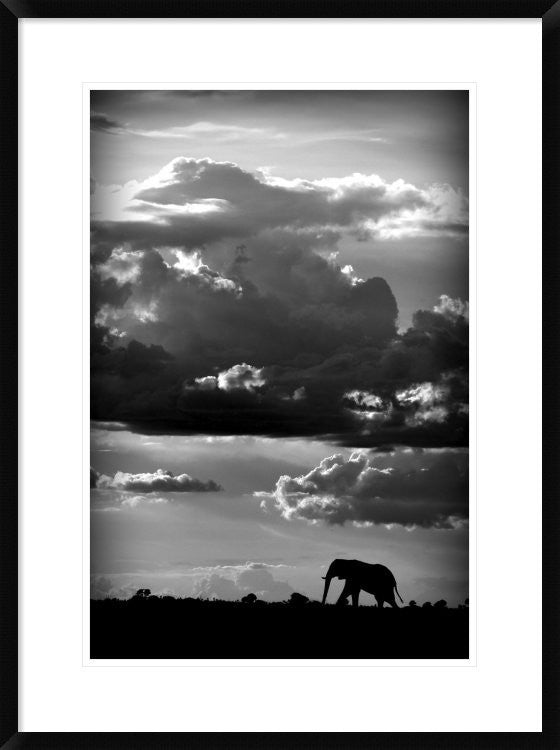 "He Walks Under An African Sky" Framed Digital Print by Wildphotoart, 24x32"