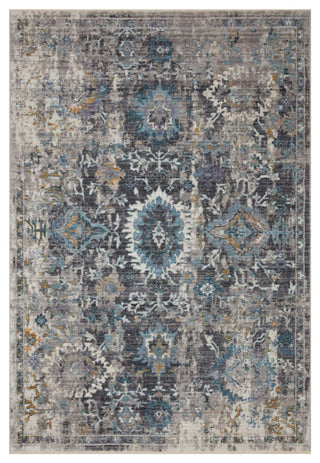 Samra SAM-02 Gray/Multi 2'3"x3'10" Area Rug