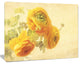 Bunch of Yellow Ranunculus Flowers, Floral Canvas Art Print, 40"x30"
