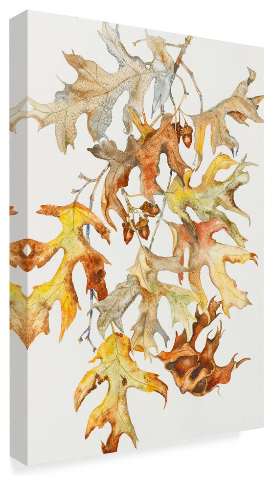 Joanne Porter 'Rust Colored Oak Leaves' Canvas Art, 32"x22"