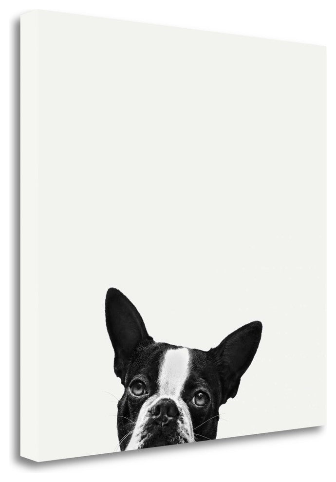 "Loyalty" By Jon Bertelli, Giclee Print on Gallery Wrap Canvas, Ready to Hang