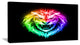 "Colorful Fire Lion" Animal Digital Canvas Print, 40"x20"