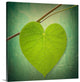 "Nature Lover" Wrapped Canvas Art Print, 24"x24"x1.5"