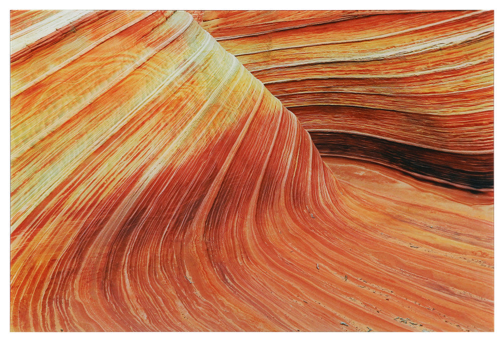 Painted Rock Frameless Free Floating Tempered Glass Graphic Wall Art 32x48