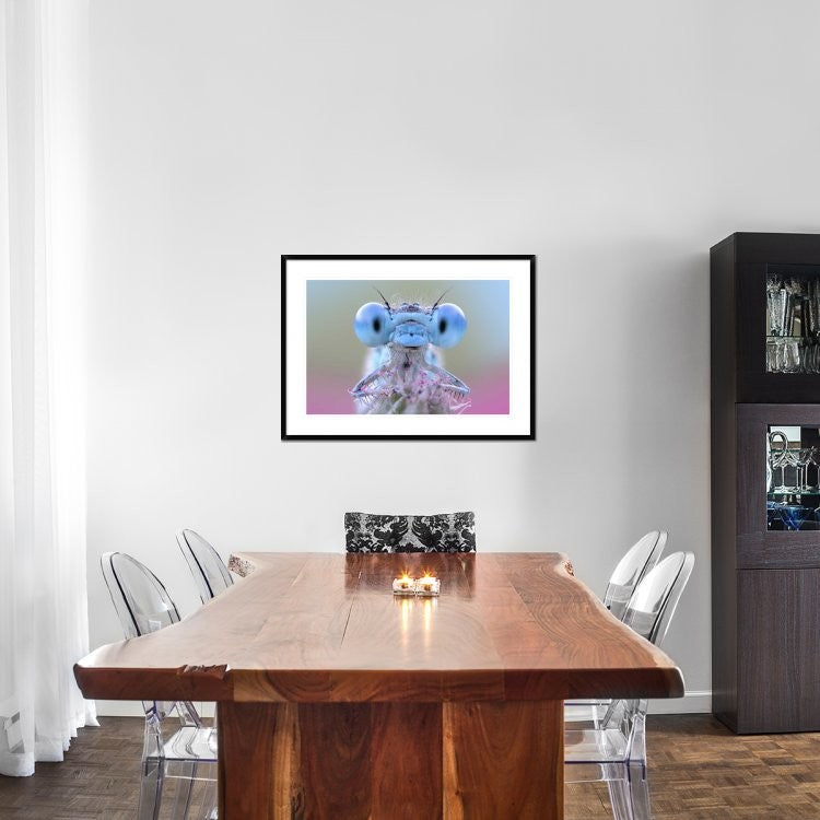 "Damigella" Framed Digital Print by Ghizzi Panizza Alberto, 38"x28"